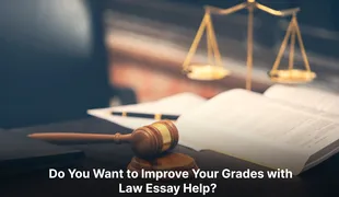 How Law Essay Help Can Transform Your Grades?